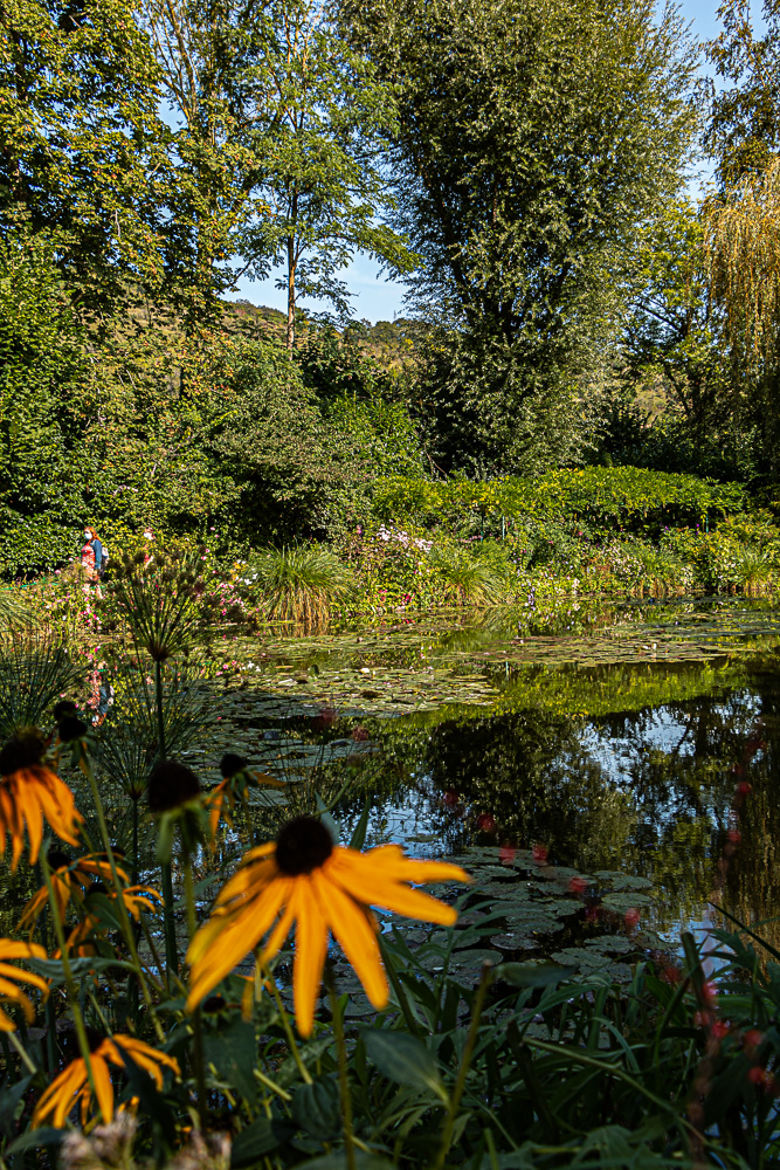 visiteurs Bassin aux nymphéas jardin de C. Monet