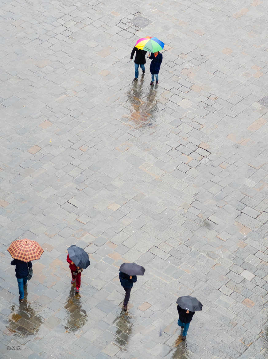 Florence série parapluie 2