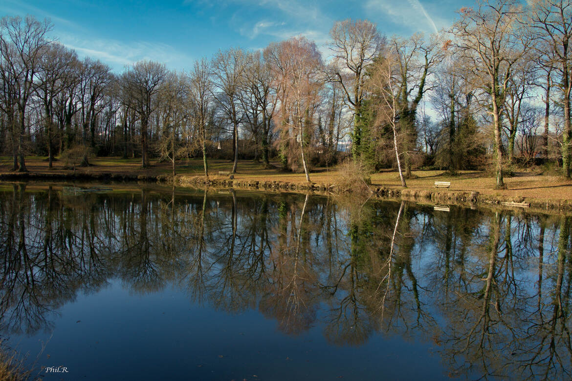 miroir plantade