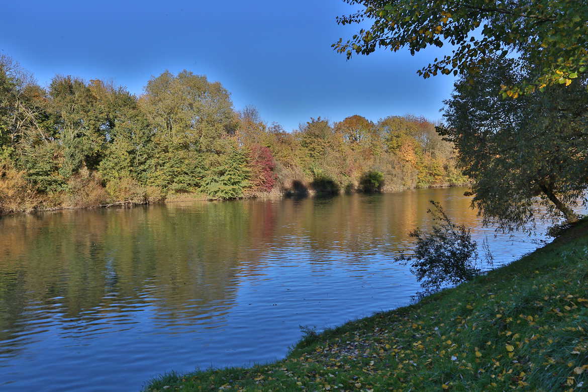 Lulière d'automne sur les bords de la Marne