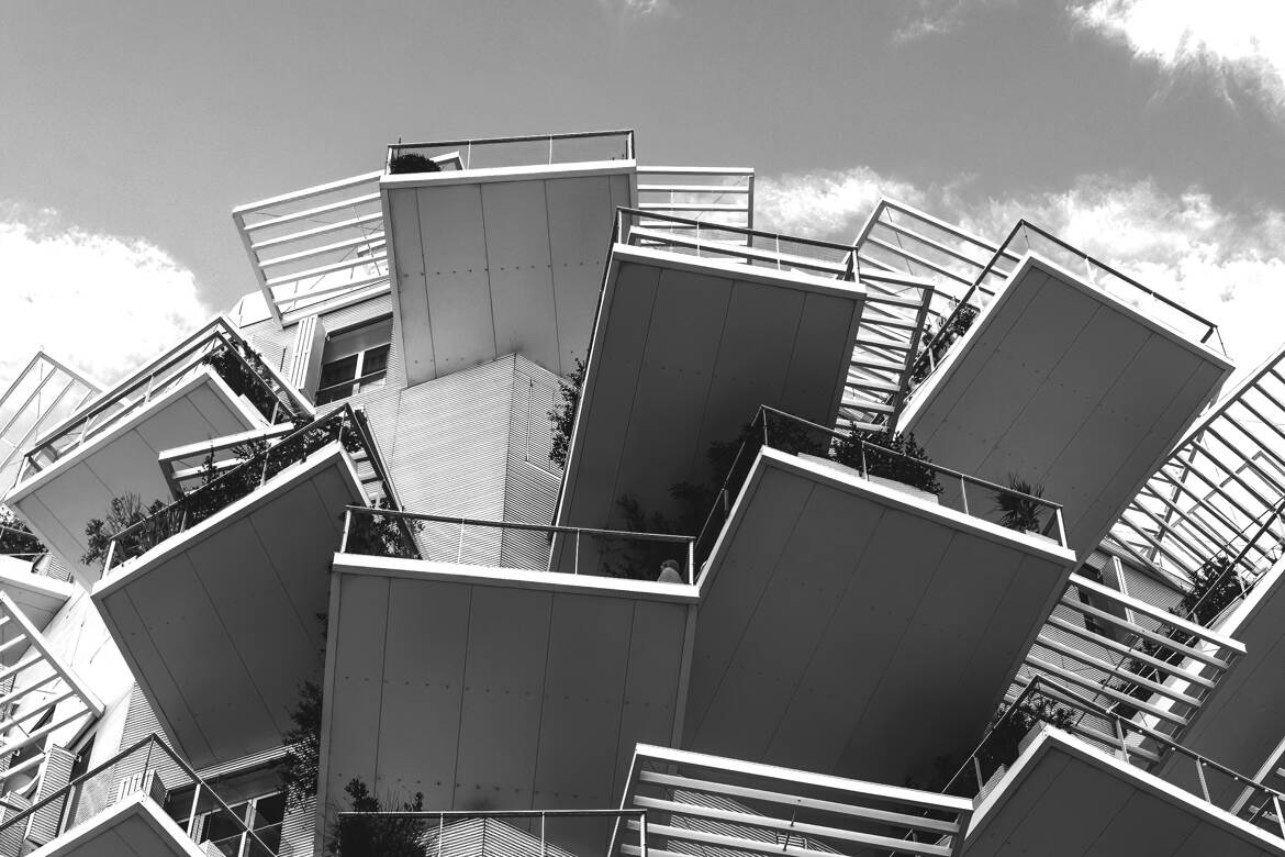 Les balcons de l'arbre blanc