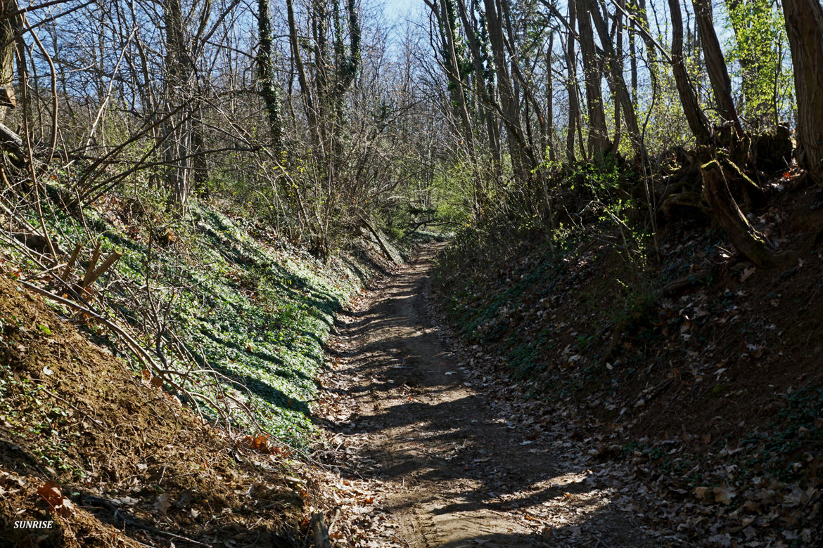 Promenade