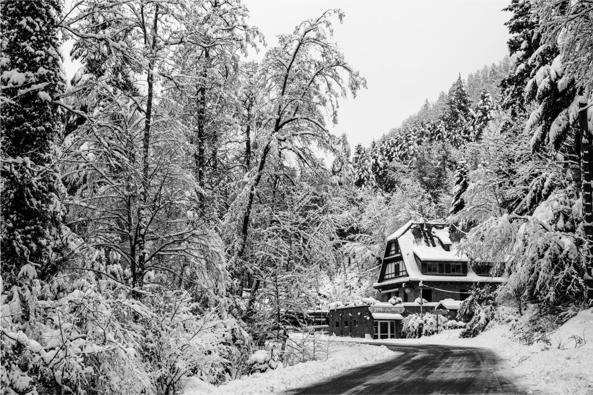 la beauté de l'hiver