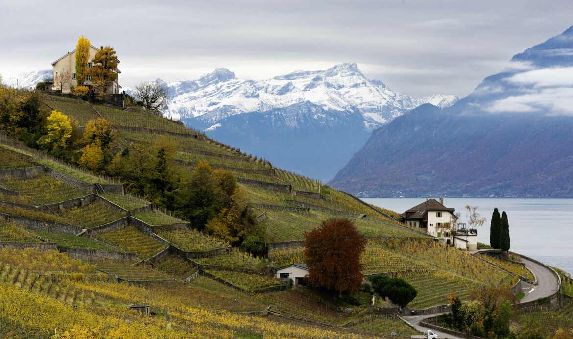 coteaux de Lavaux