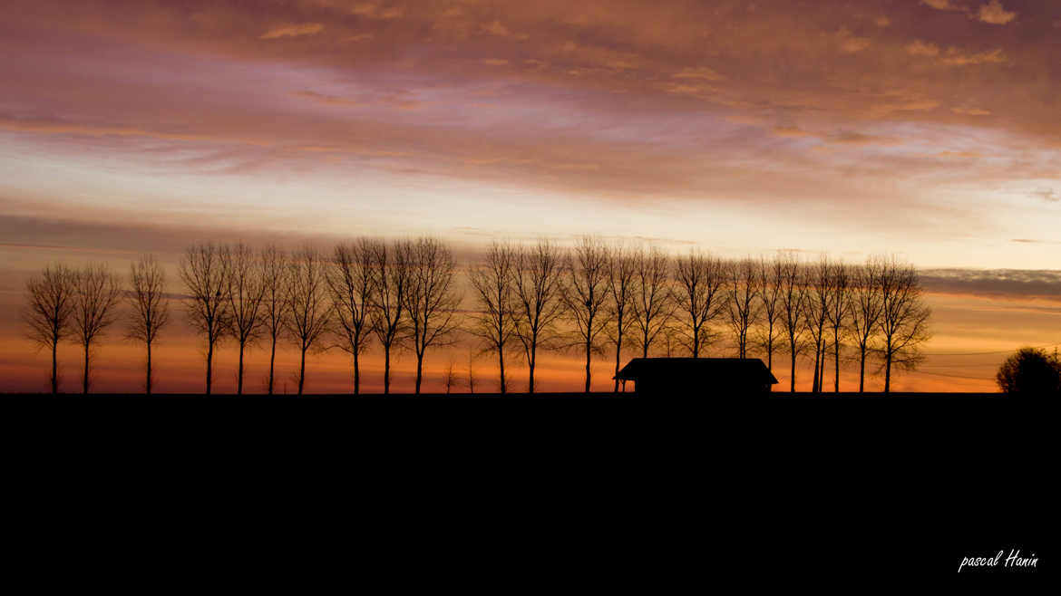 crepuscule en campagne