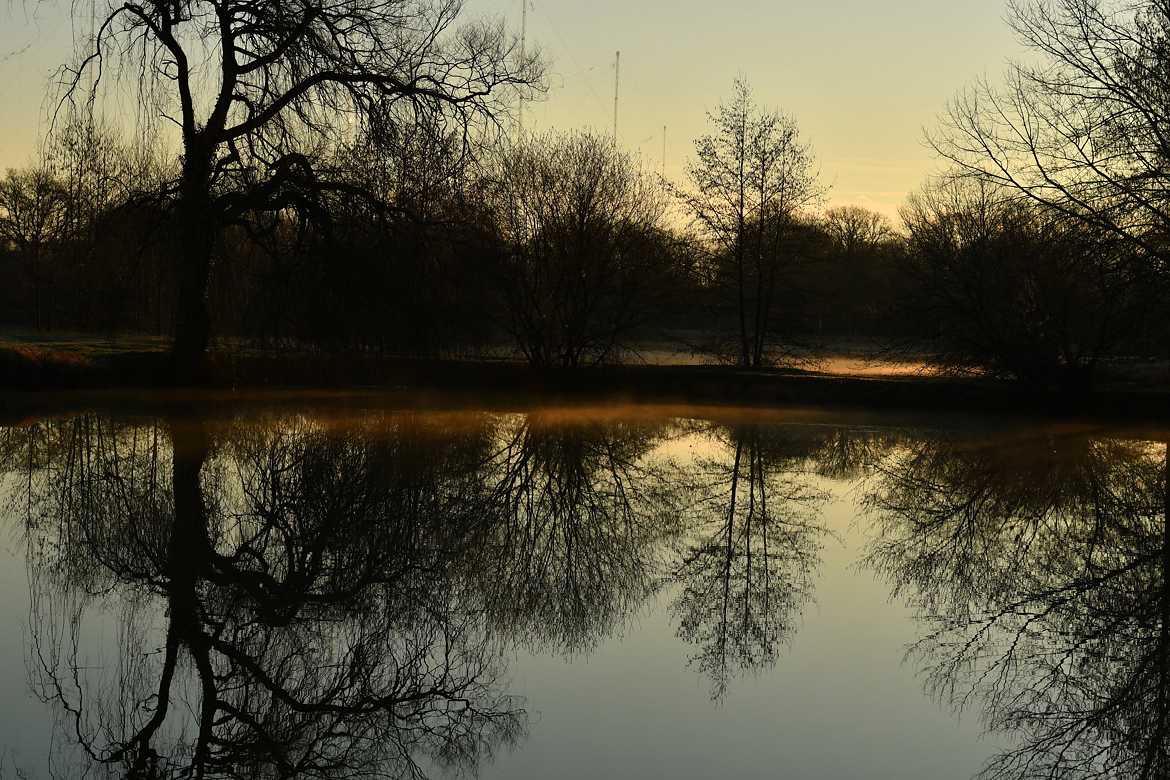 Silhouettes de d'un étang de Brenne