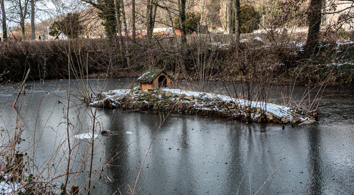 L'ile des canards jour de gel