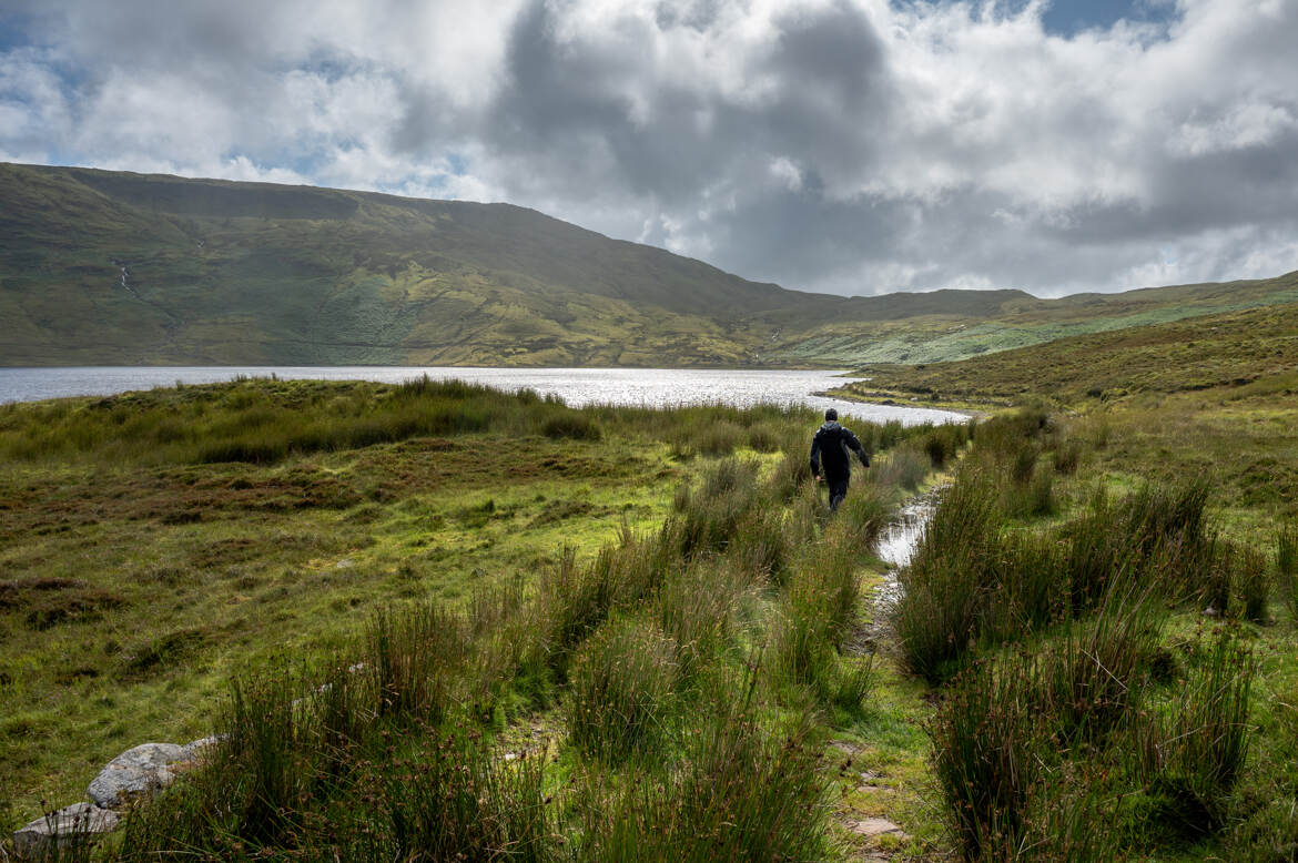 Marcher dans les tourbières