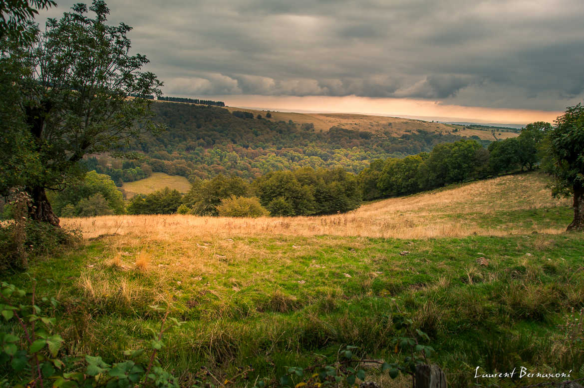 Aubrac et lumières d'automne