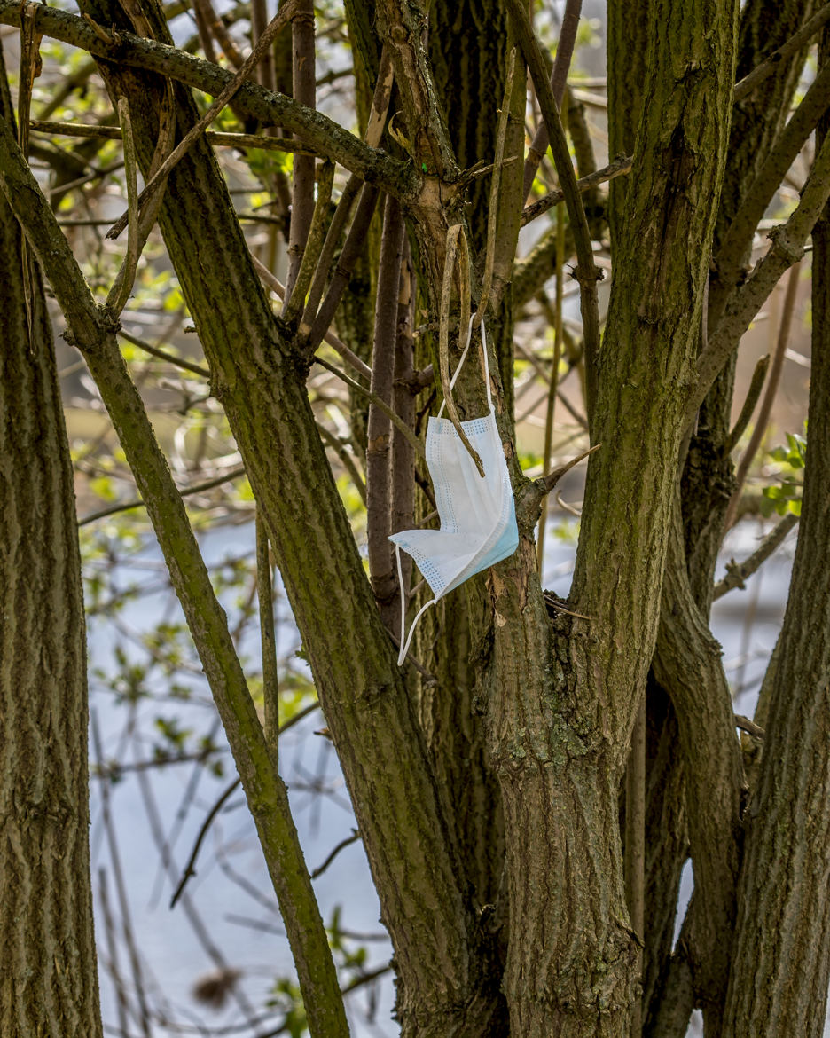 L'arbre à masque...