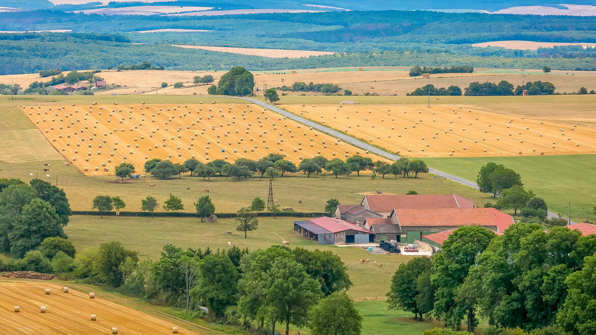 Après la moisson en Meuse