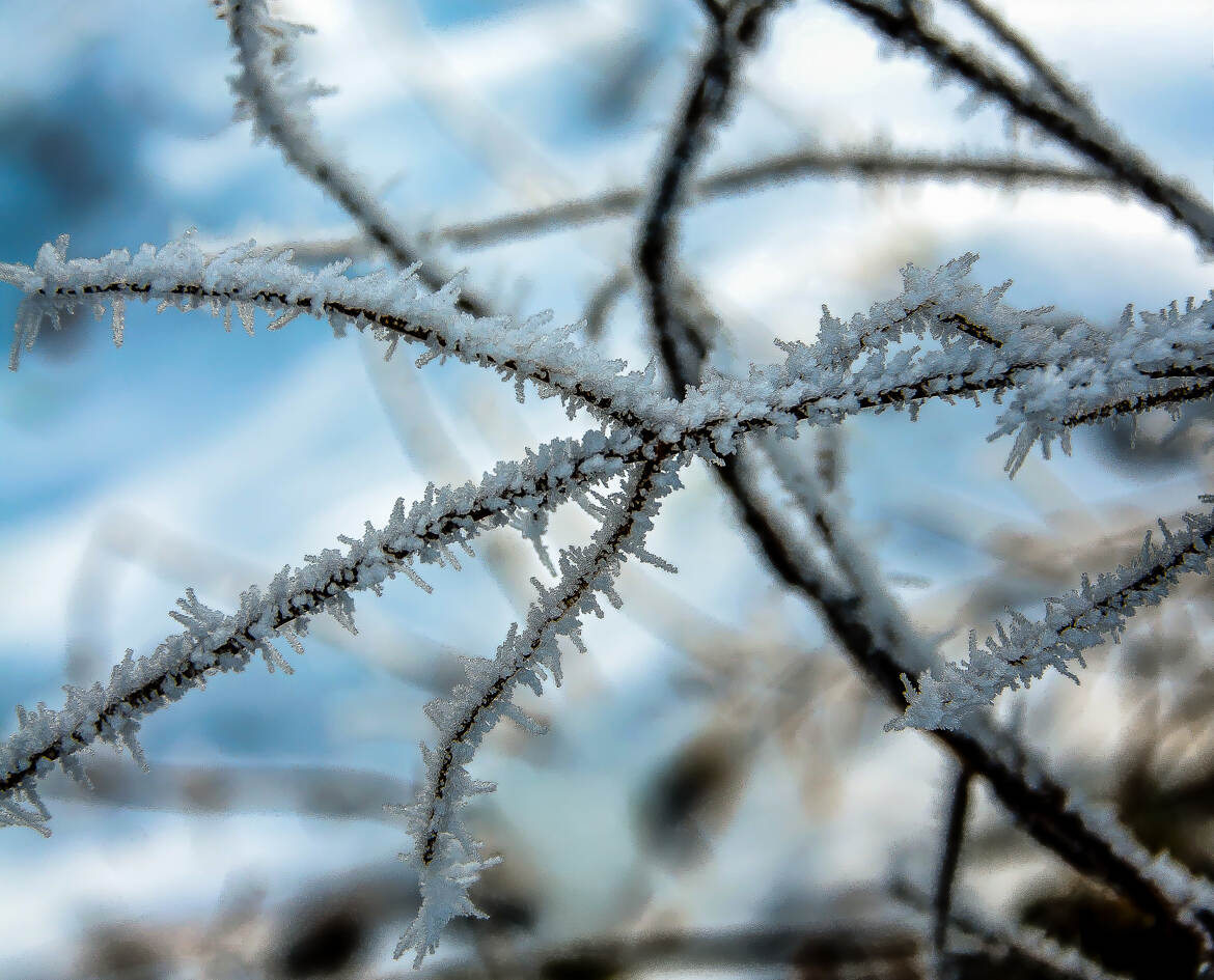 Une oeuvre hivernale 2