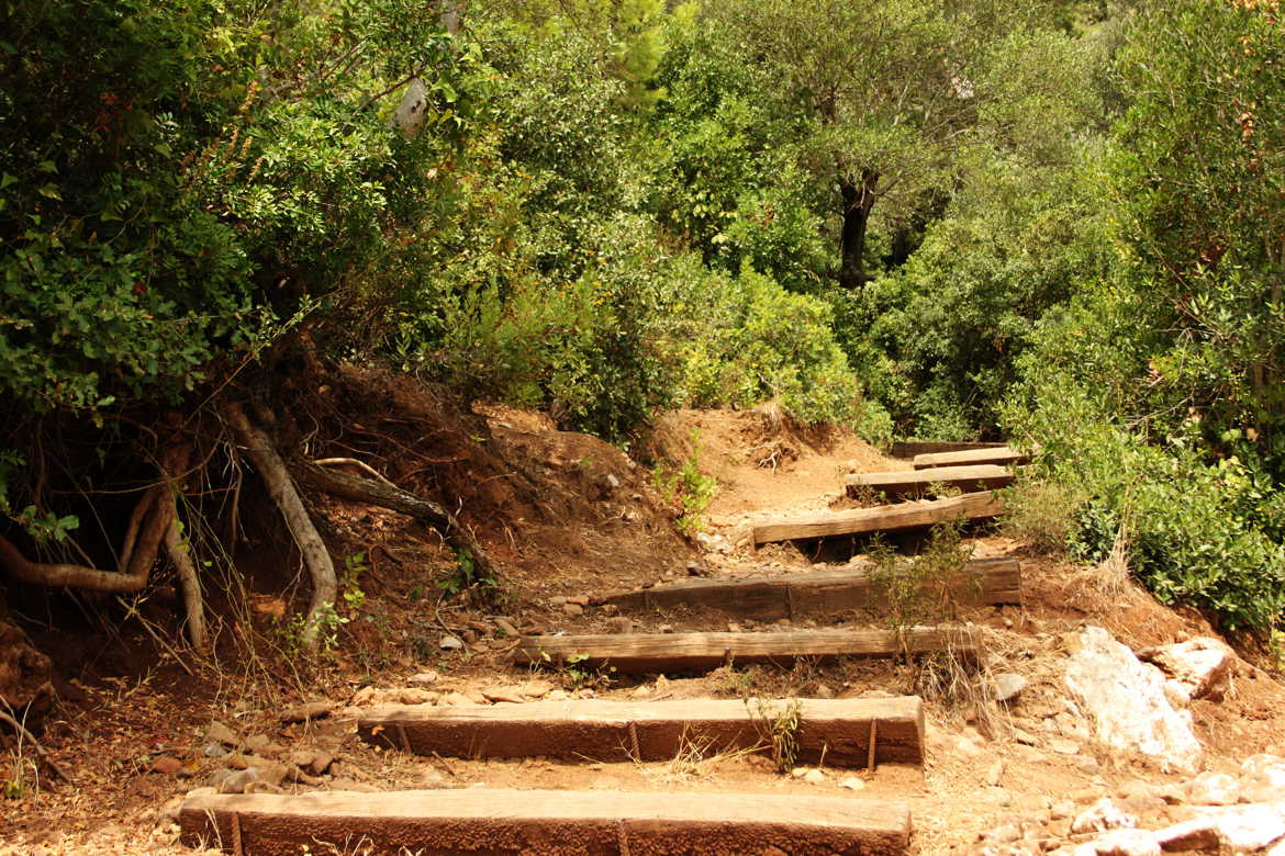 Vers la foret de Bejaia