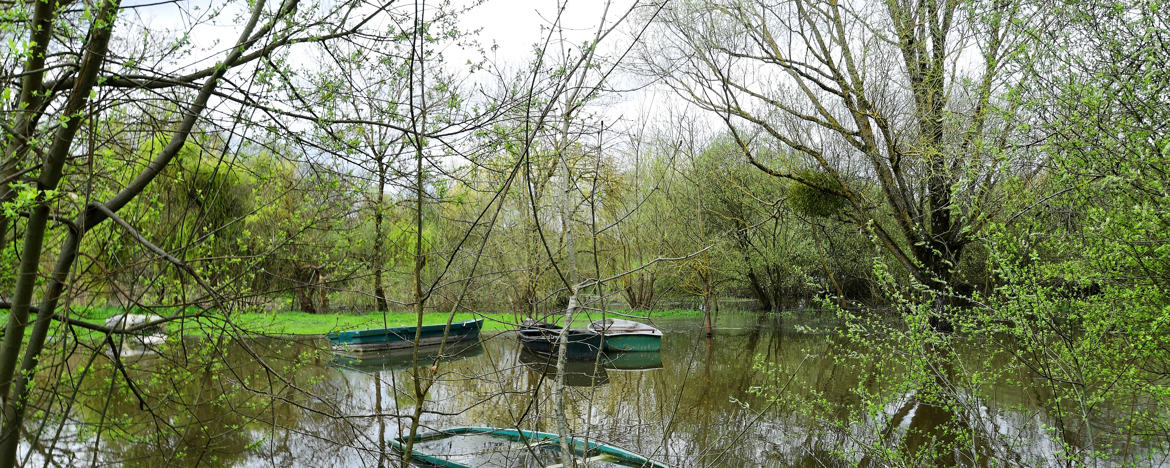 Vert d'eau