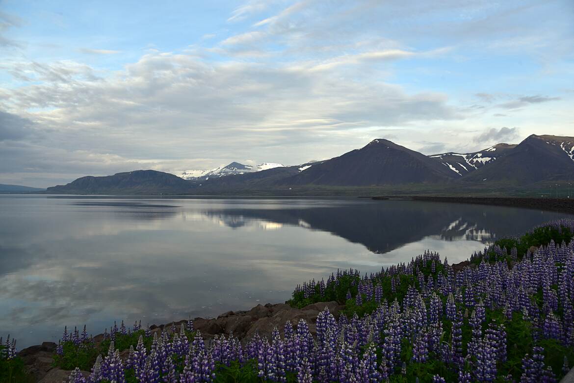 Reflets d'Islande