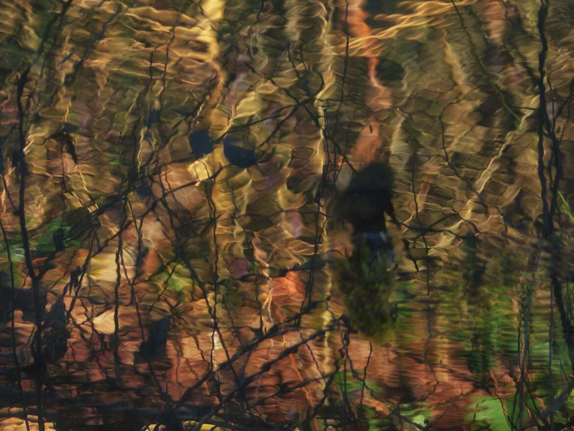 de l'art dans le reflet