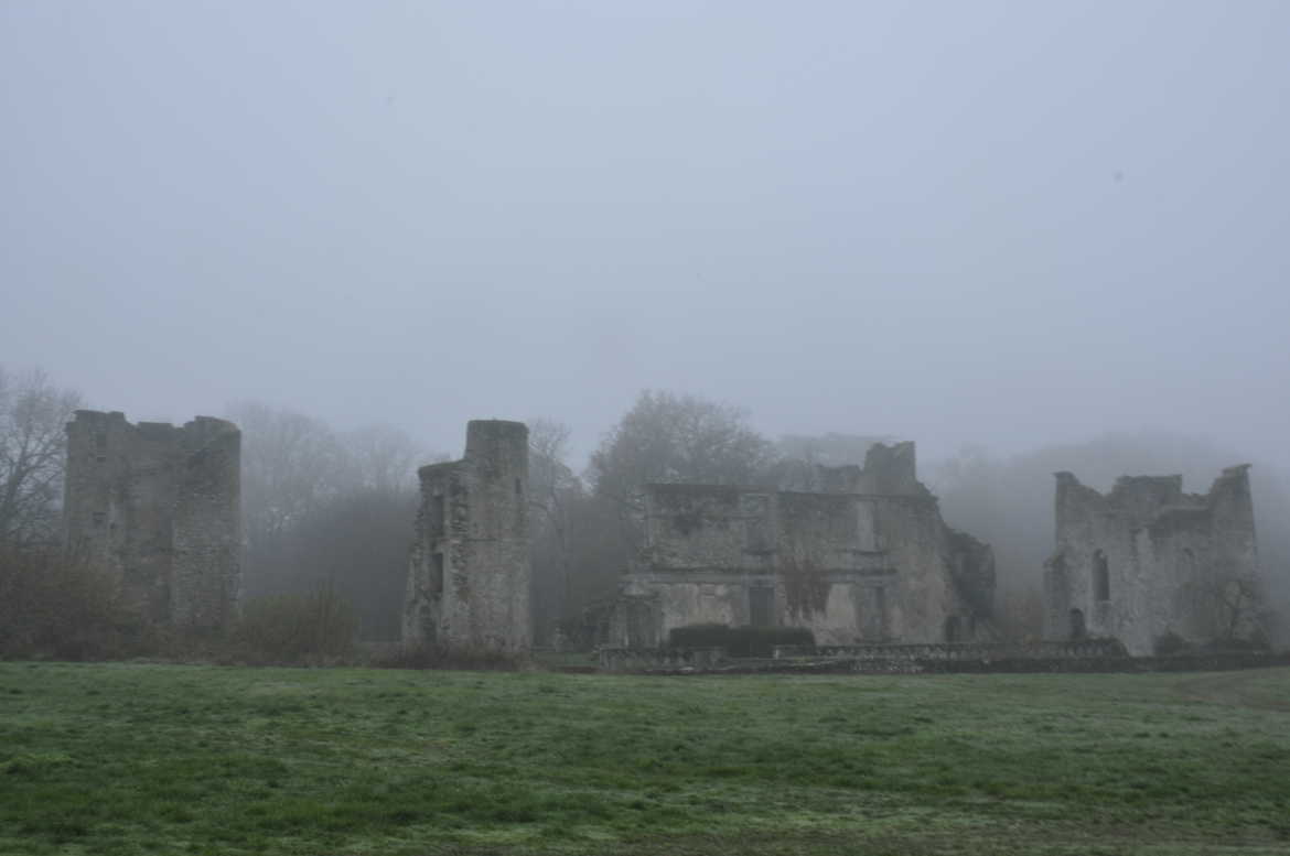 Chateau de la Durbeliere  dans la brume