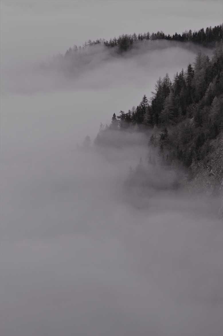 Nuages dans le Mélézin