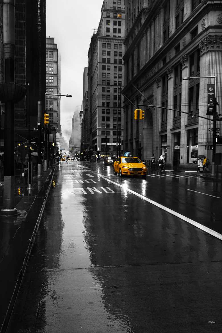 Yellow NEW YORK