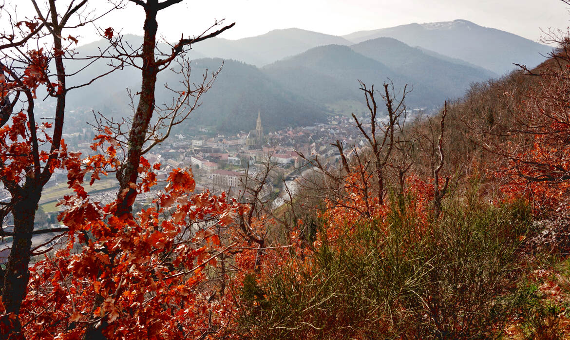 Couleurs hivernales..