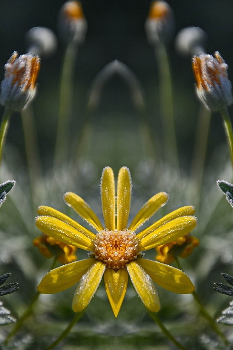 Un petit matin frisquet.