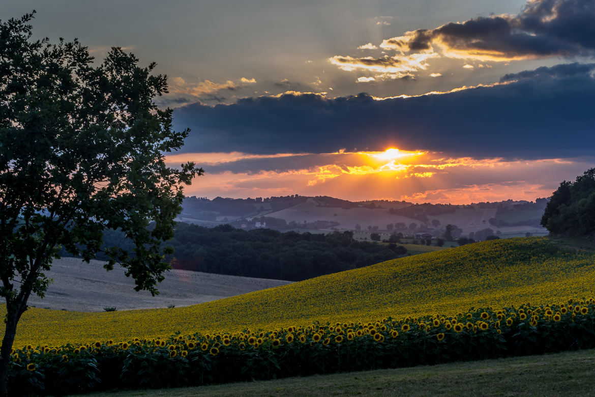 Coucher de soleil dans le Tarn