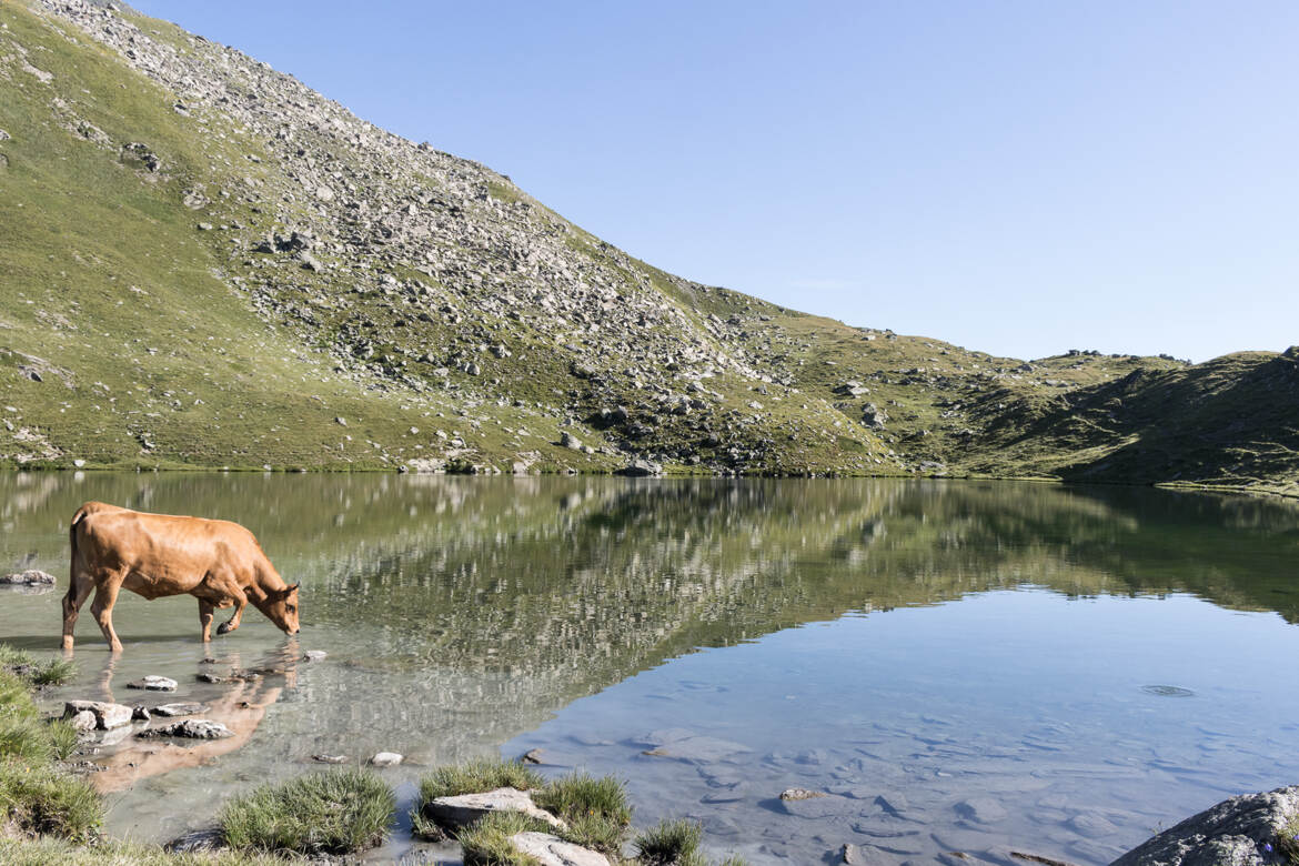 Grand Lac de Monfiot