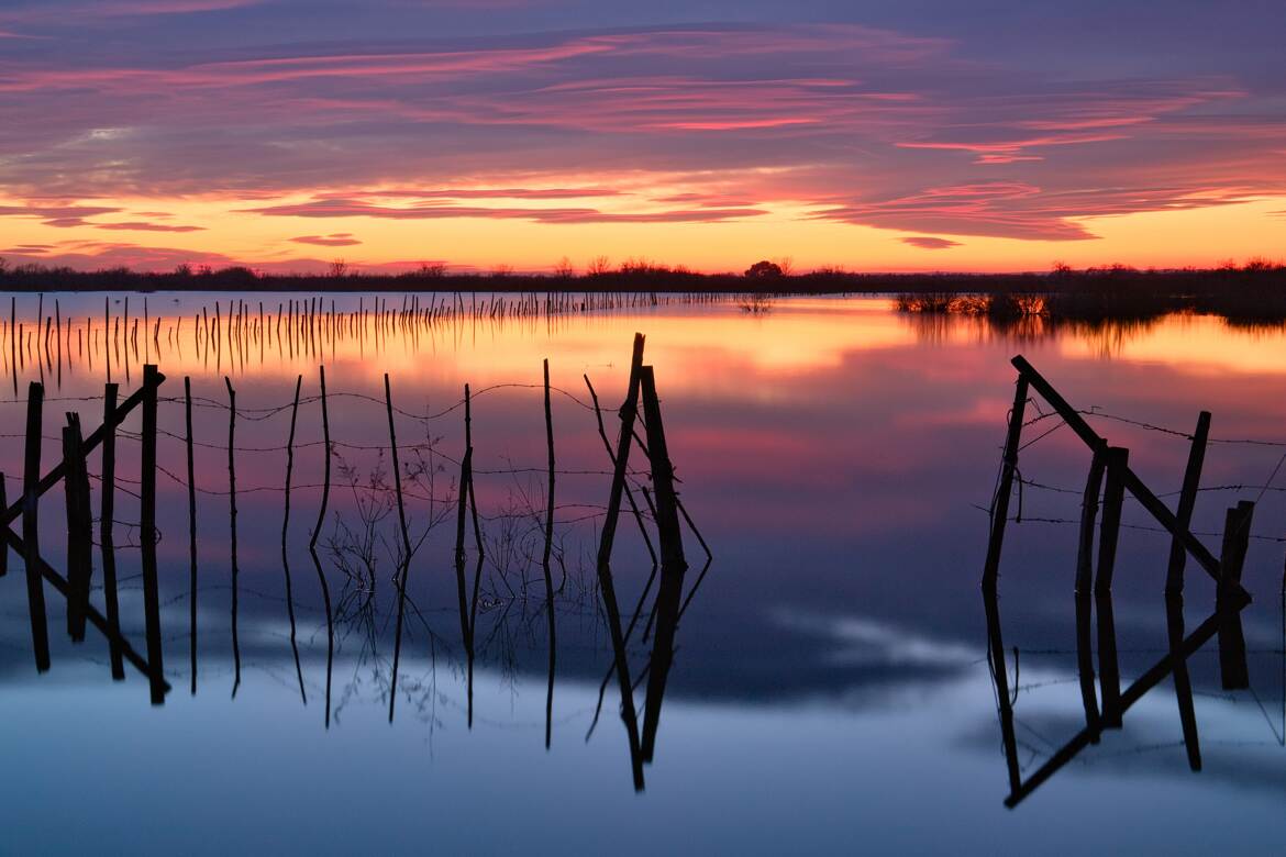 Dernières incandescences 3