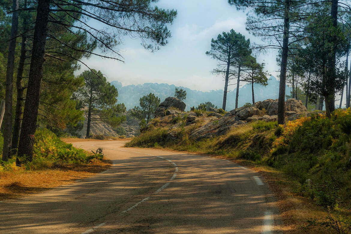 Du coté de nos montagnes