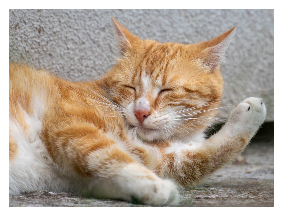 Moment de détente