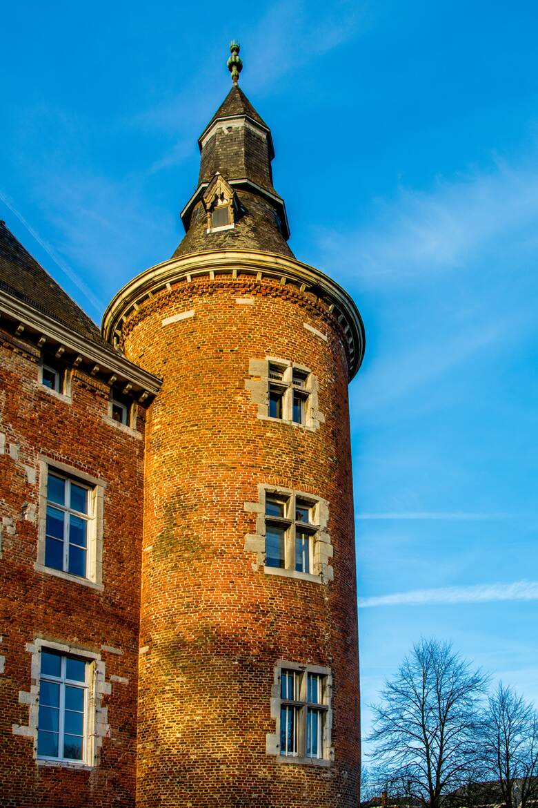 Le chateau et sa tour.