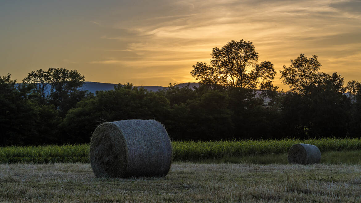 Fin de journée en Beaujolais