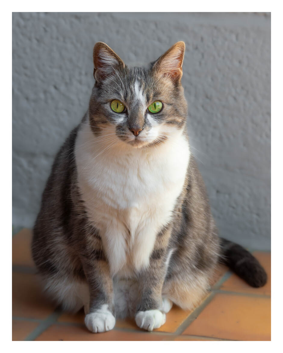 Elle aime se faire photographier