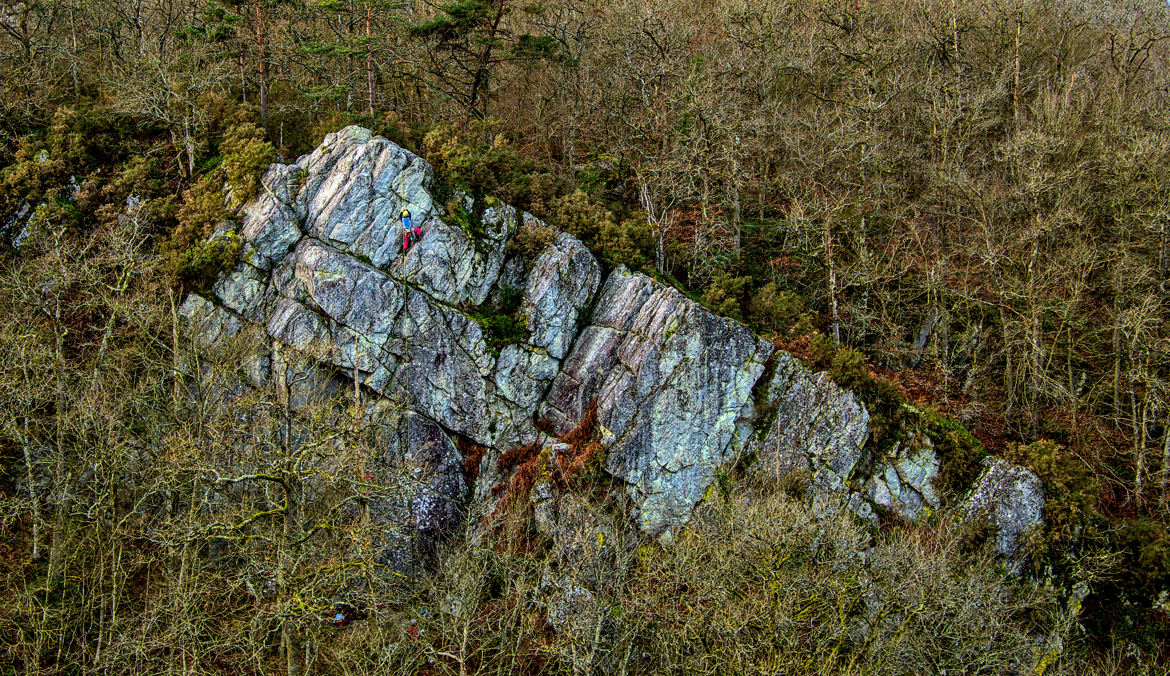 Grimpeur à pattes rouges