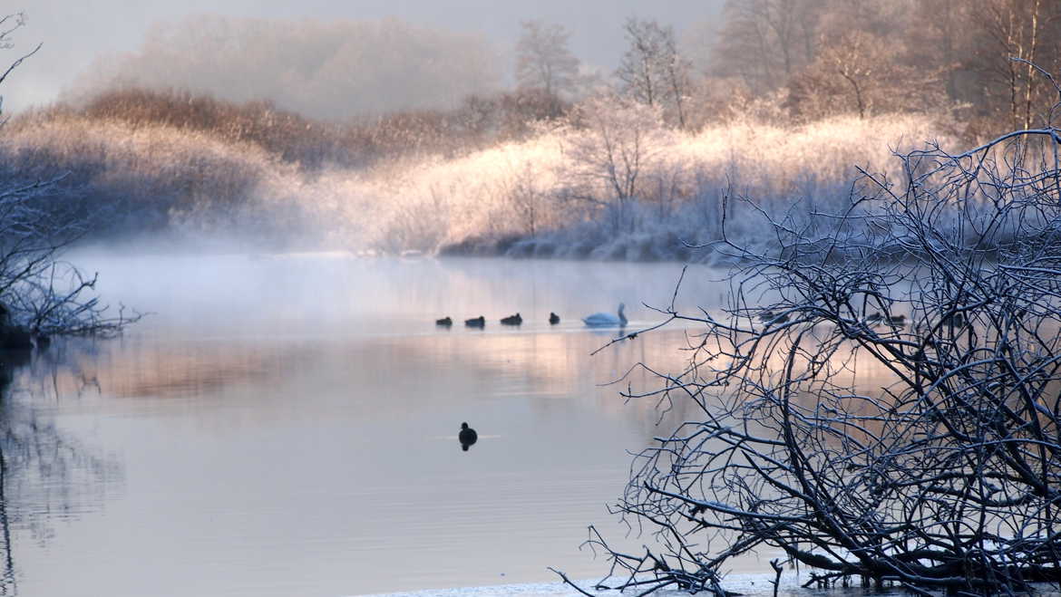 Féerie de l'hiver