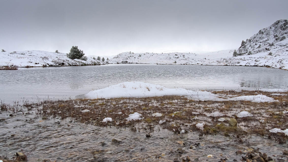 dans la toundra glacée