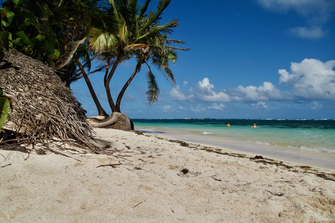 Plage paradisiaque