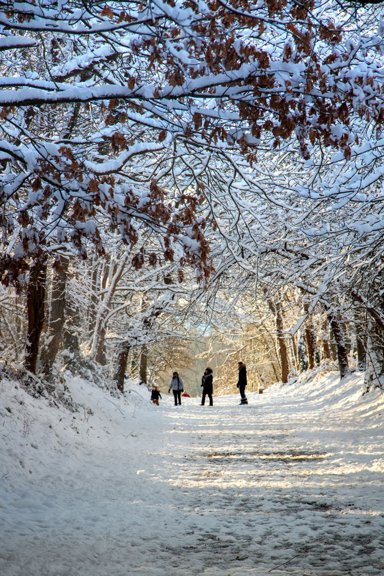 Promenons nous dans les bois...