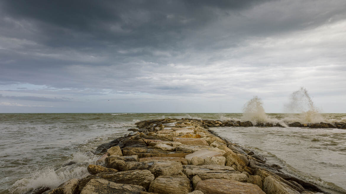 La mouette