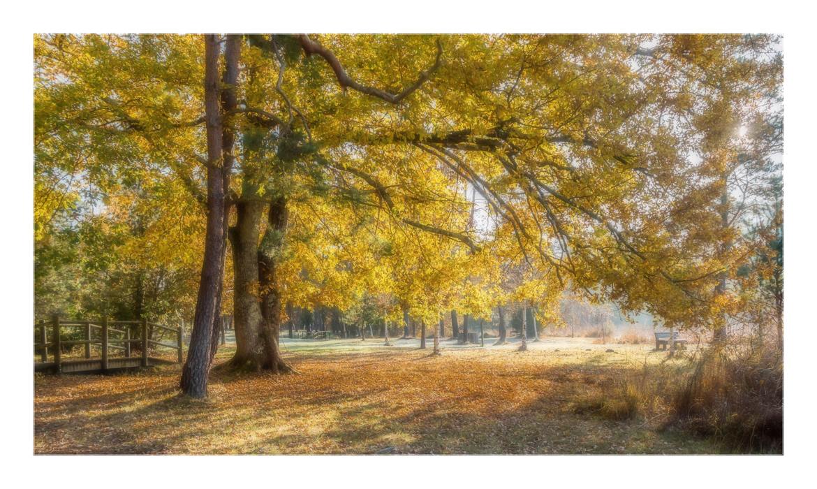 Belle journée d'automne !