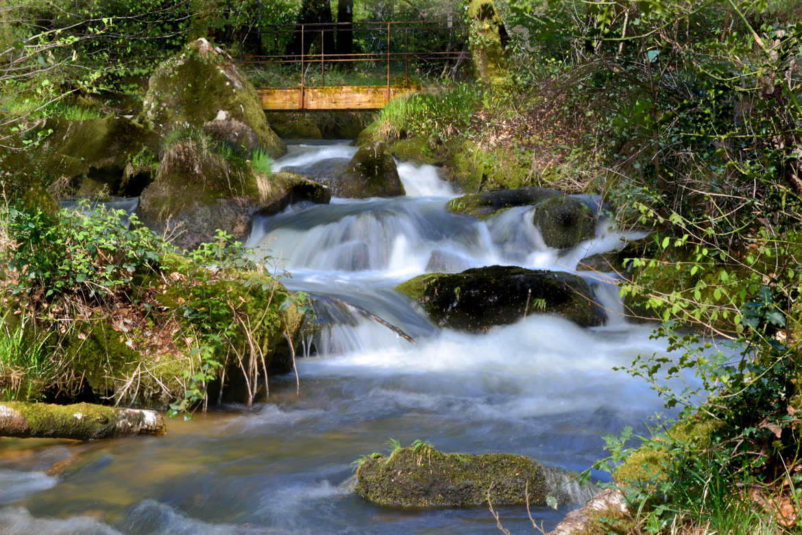 Paysage bucolique