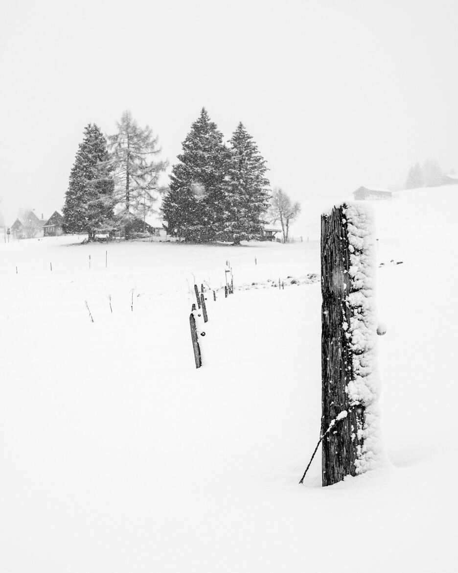 Du noir et du blanc