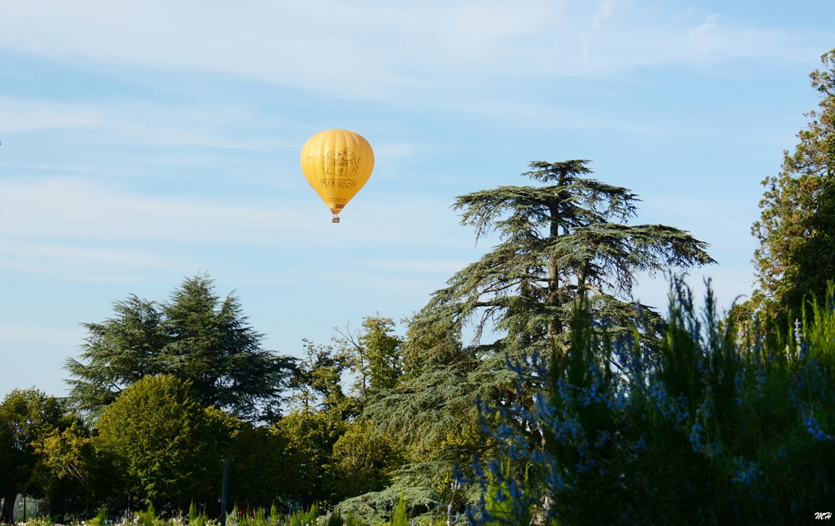 Au gré du vent