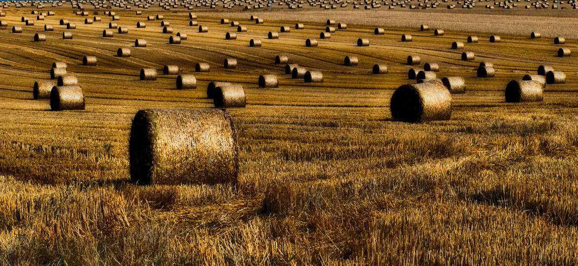Ruralité (16)