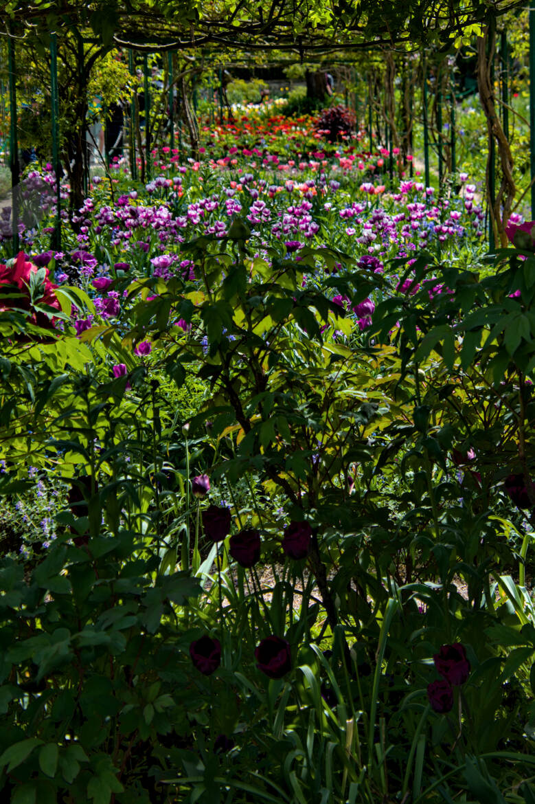 Une impression de Giverny (3)