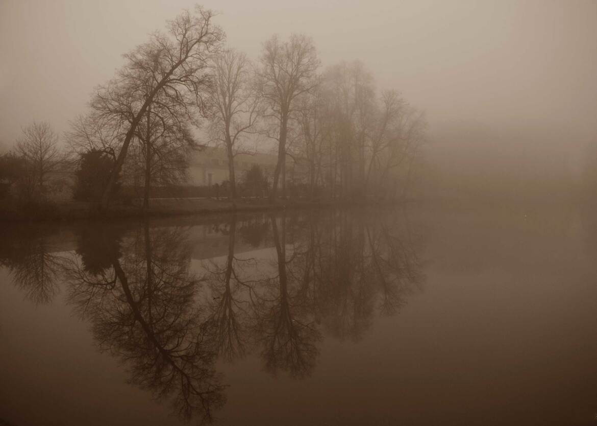 Brouillard et reflets