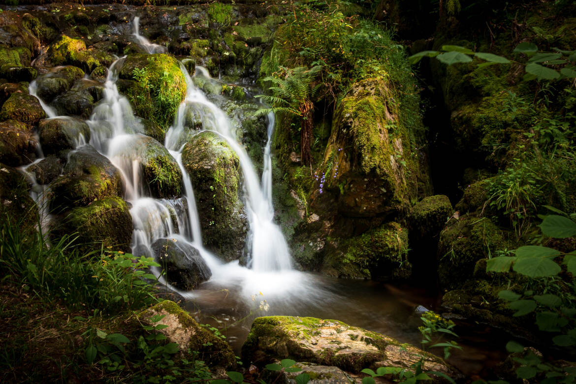 Cascade Vosgienne