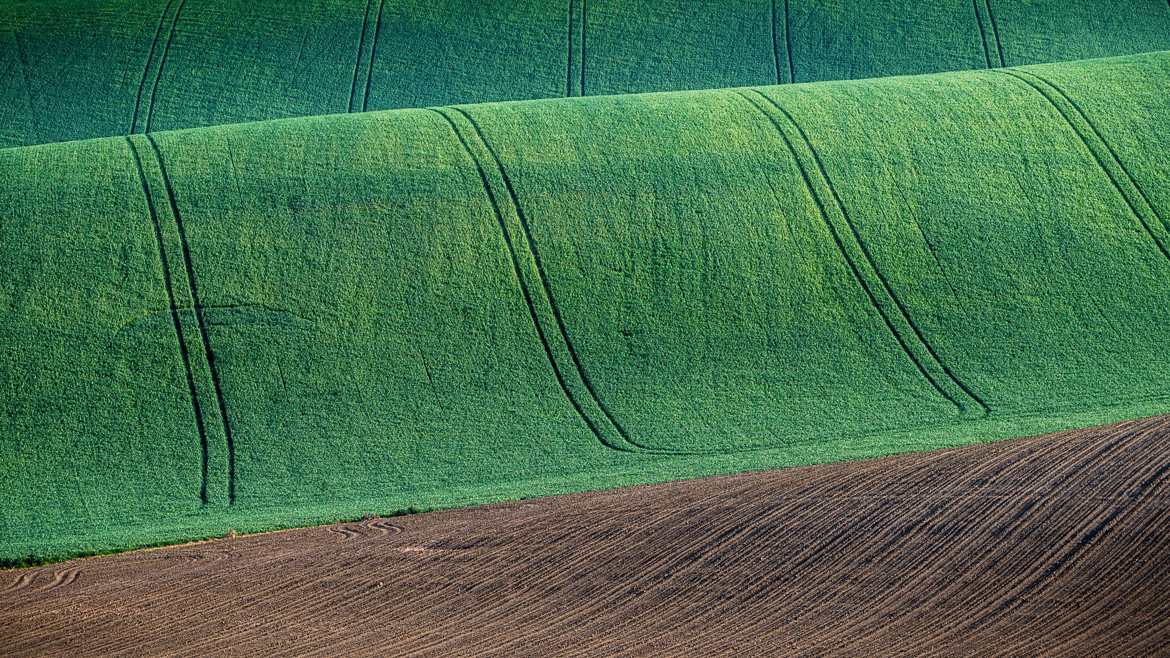 Moquette verte à vendre