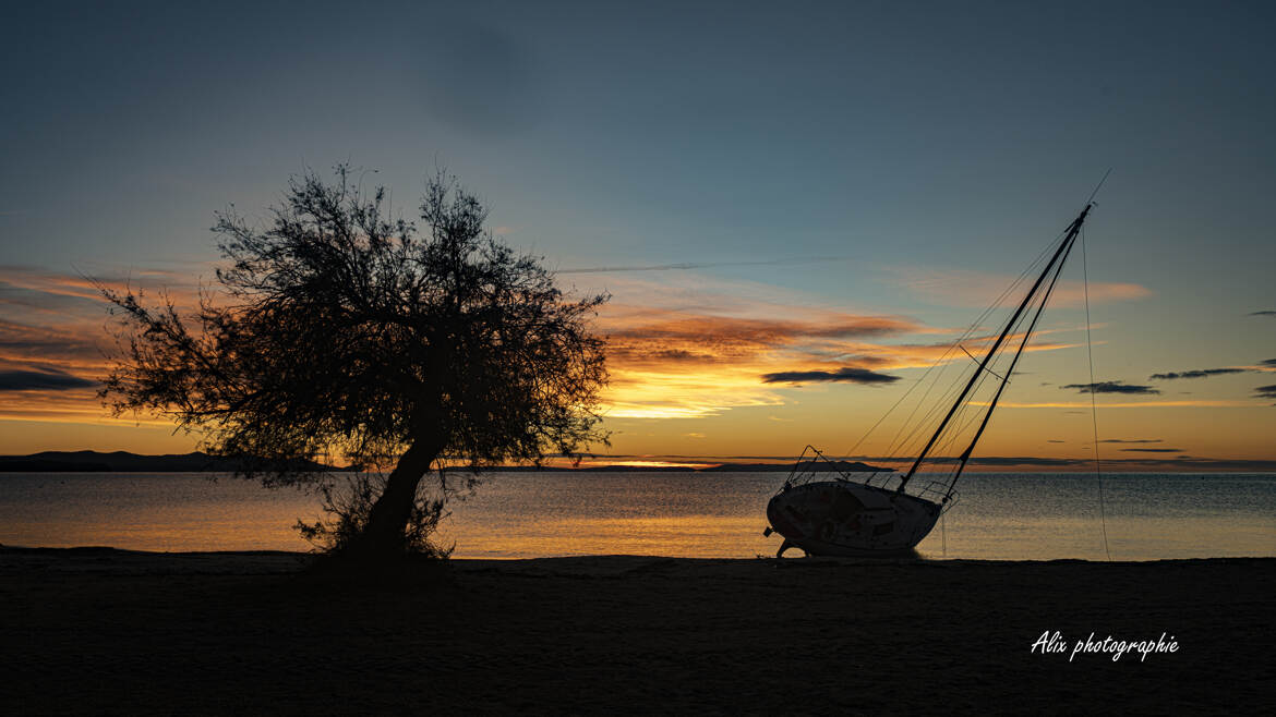 l'arbre le soleil et le bateau