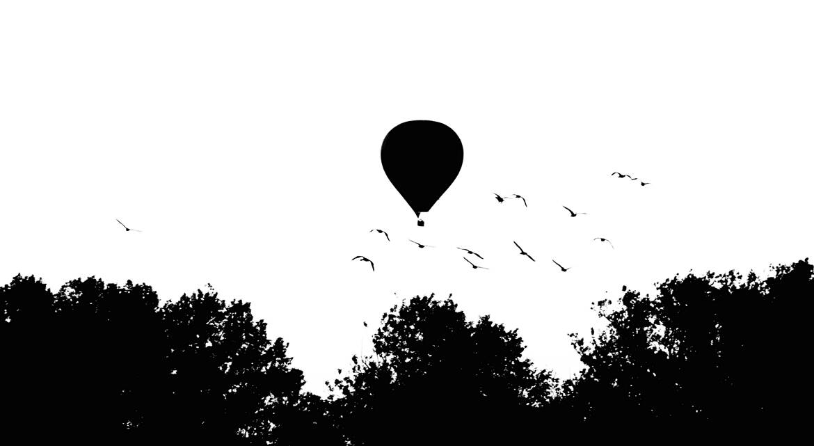 Les Oiseaux et la montgolfière